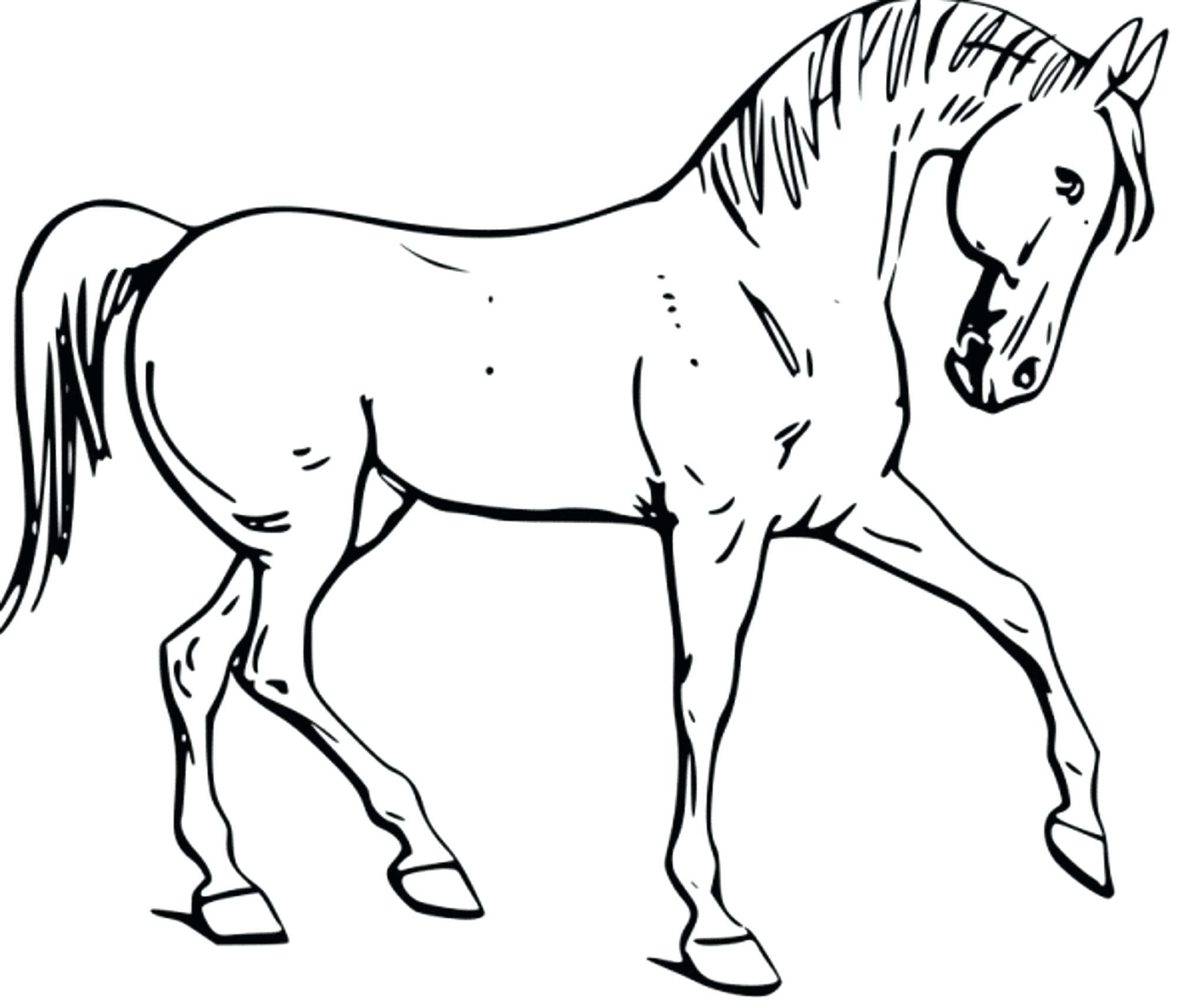Coloring Picture : Free Pages Horse And Foal Fun For Your ...
