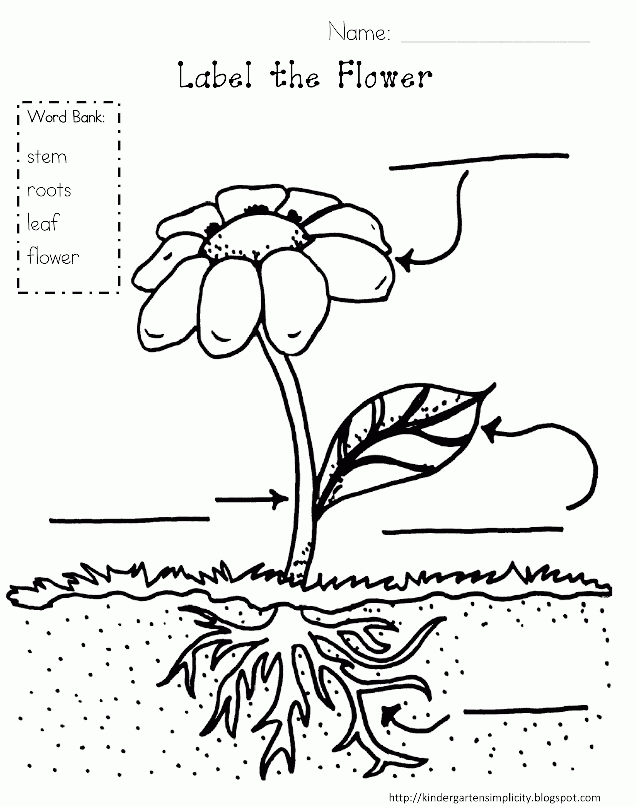 Plant Coloring Page - Coloring Home