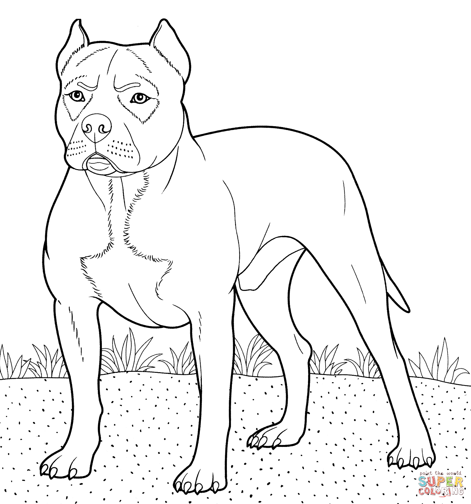 pitbull-on-grass-coloring-page-pitbull-pit-seekpng-webstockreview