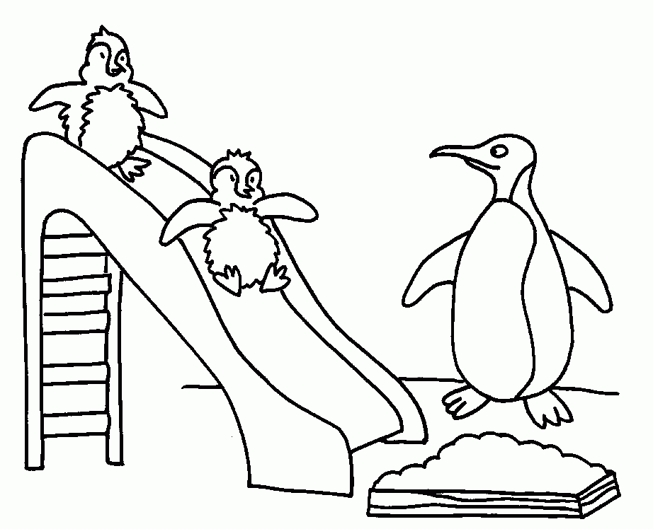 Related Penguin Coloring Pages item-11744, Penguin Coloring Pages ...