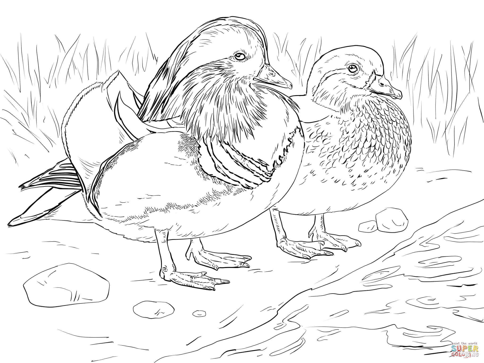 preschool-coloring-pages-of-ducks-with-umbrellas-coloring-home