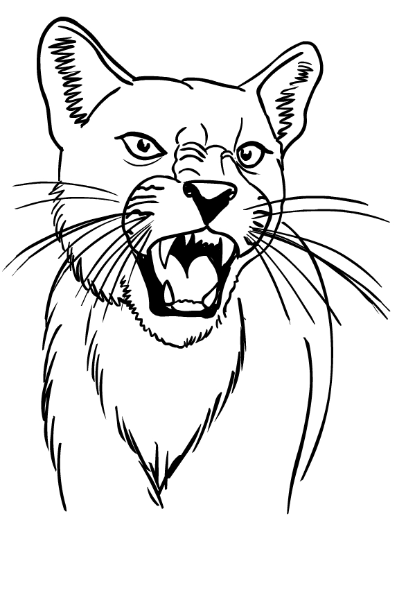 Drawing Of Puma Coloring Page - Coloring Home