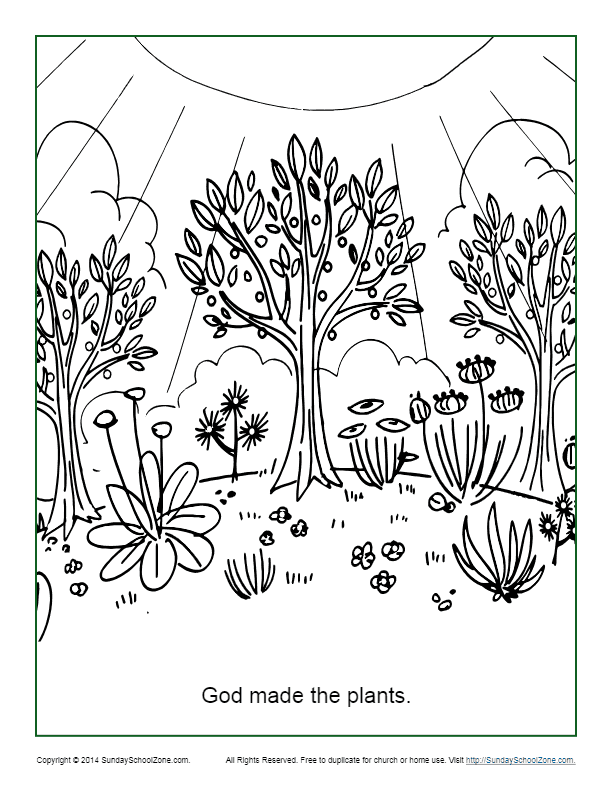God Made the Plants Coloring Page