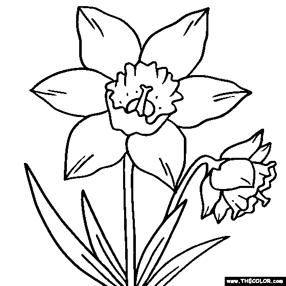 Plant Online Coloring Pages | TheColor.com - Coloring Home