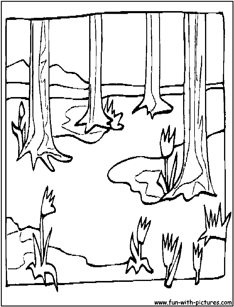 Spring Landscape Coloring Pages Sketch Coloring Page