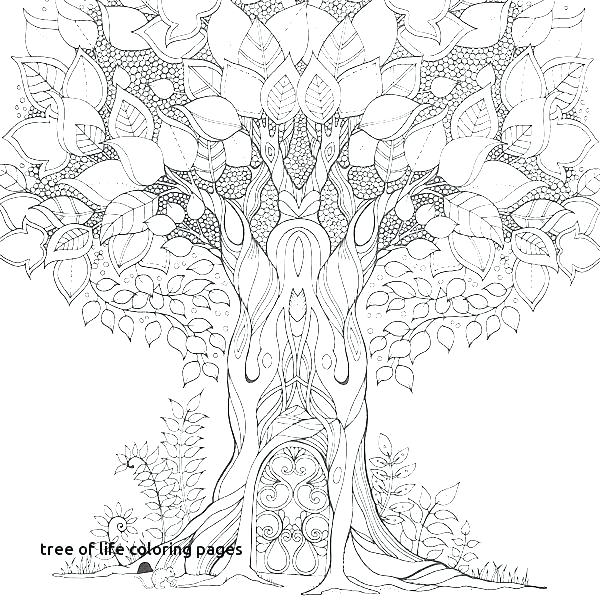Download Tree Trunk Coloring Page No Leaves Desimaza.club - Coloring Home
