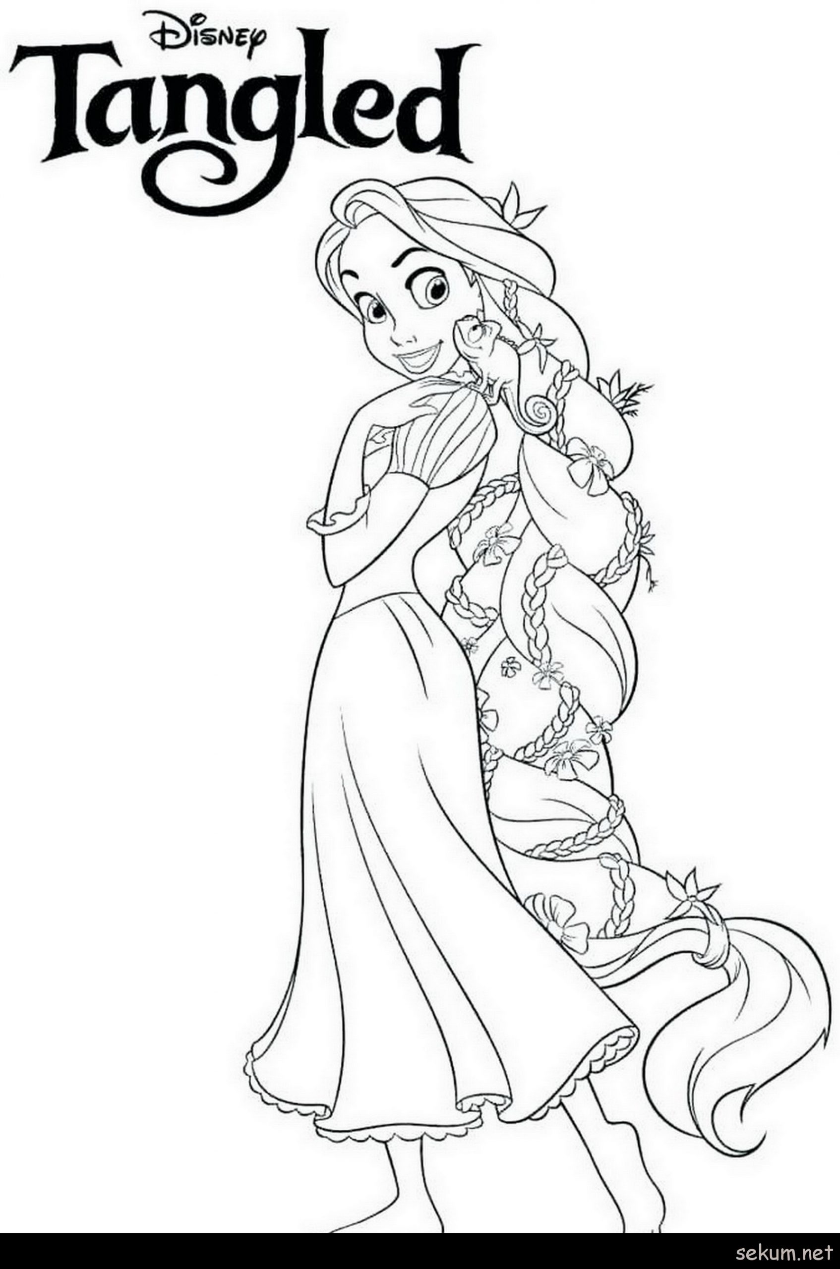 Download Princess Anna Coloring Pages - Coloring Home