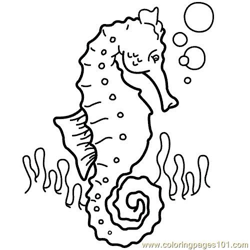 Ocean coloring pages, Coloring pages and Animals on Pinterest