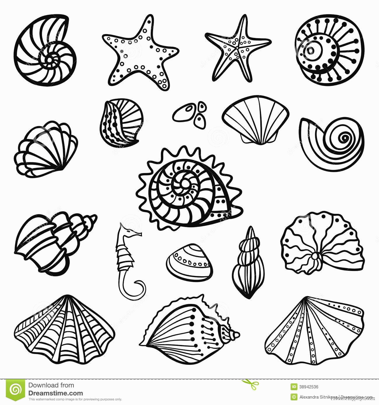 Seashell Coloring Page - Coloring Pages for Kids and for Adults