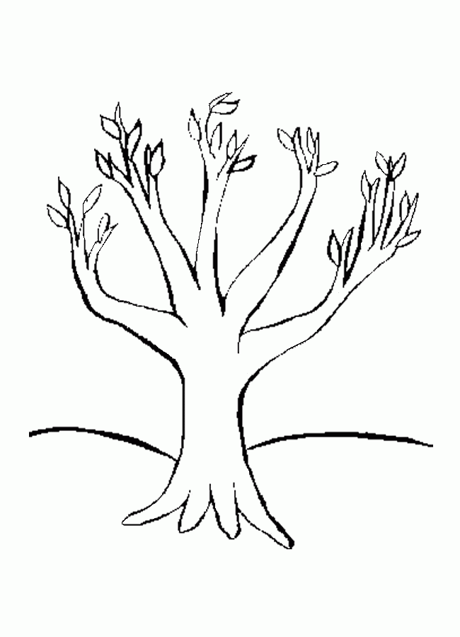 Related Tree Coloring Pages item-11903, Tree Coloring Pages Trees ...