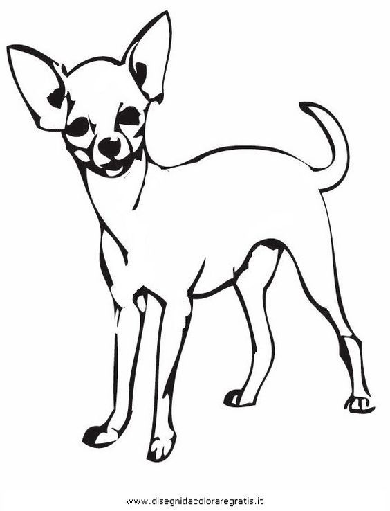 Pin Chihuahua Coloring Pages Printables Exquisite Minds Home Page ...