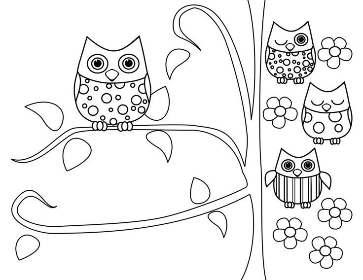 owl coloring pages on pinterest | owl templates - Gianfreda.net