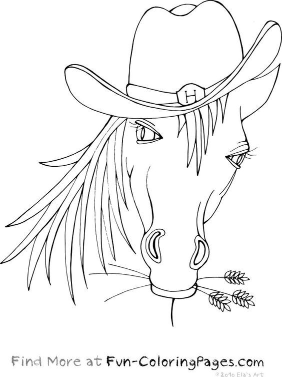 Awesome Animals Fun Coloring Pages Horse With Cowboy Hat Best ...