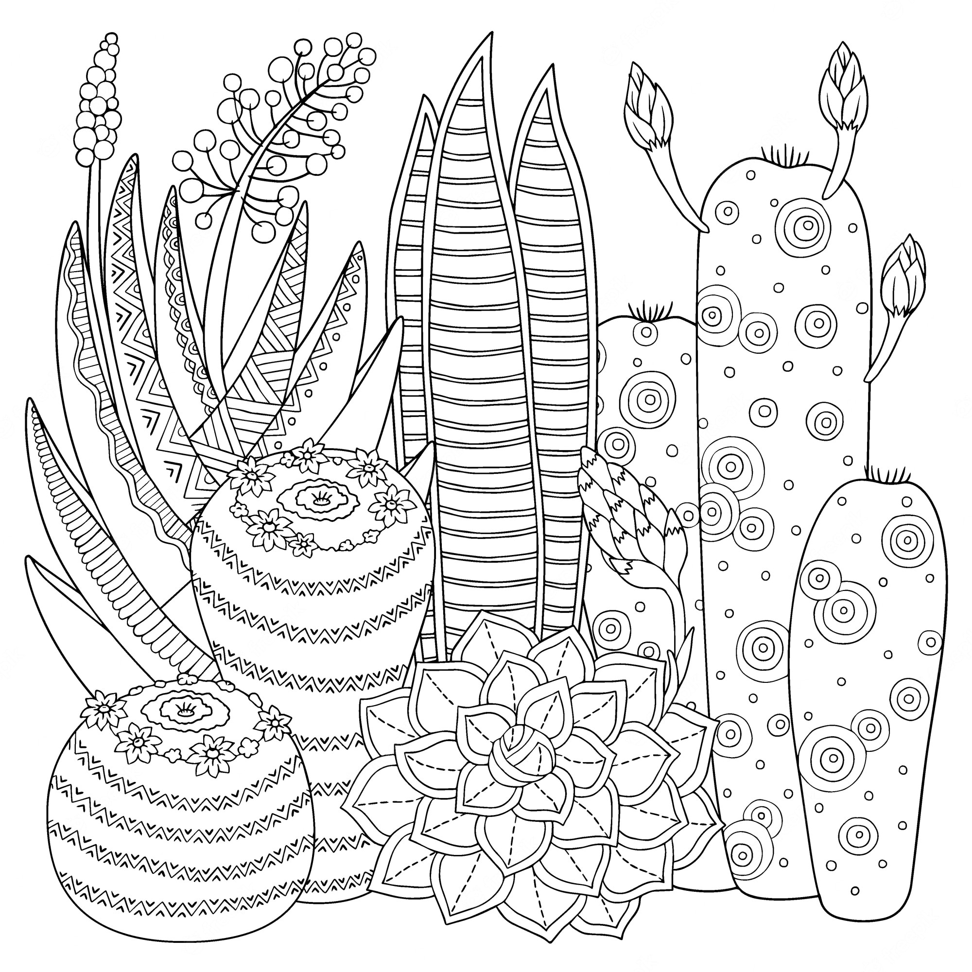 Cactus coloring Vectors & Illustrations for Free Download | Freepik