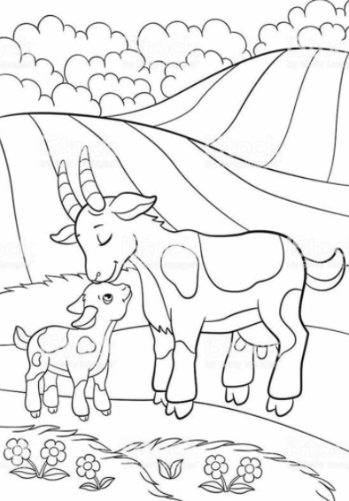 Cute Baby Animal Coloring Pages Download - DANA MILENIAL