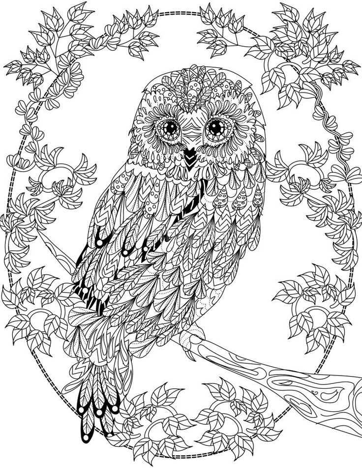 coloring books : Detailed Coloring Pages For Adults Butterfly Coloring Pages  For Adults Printable‚ Butterfly Coloring Sheets For Adults‚ Free Detailed  Coloring Pages For Adults along with coloring bookss
