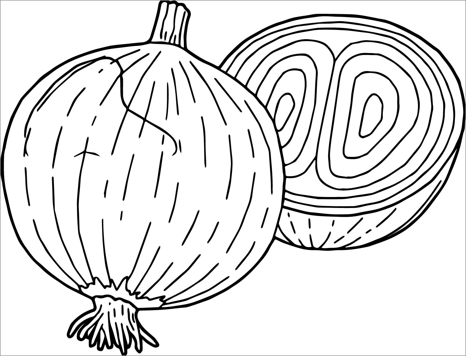 Onions Coloring Pages - ColoringBay
