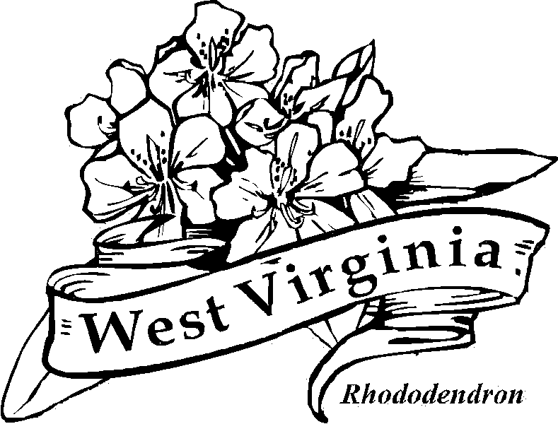 images of west virginia state flowers coloring pages - Google ...