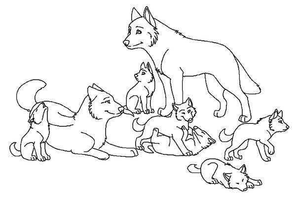 Pin on Wolf Coloring Pages