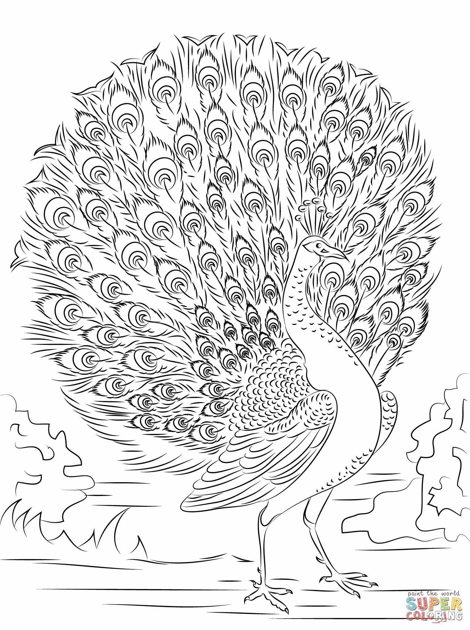 Related Peacock Coloring Pages item-11020, Peacock Coloring Pages ...