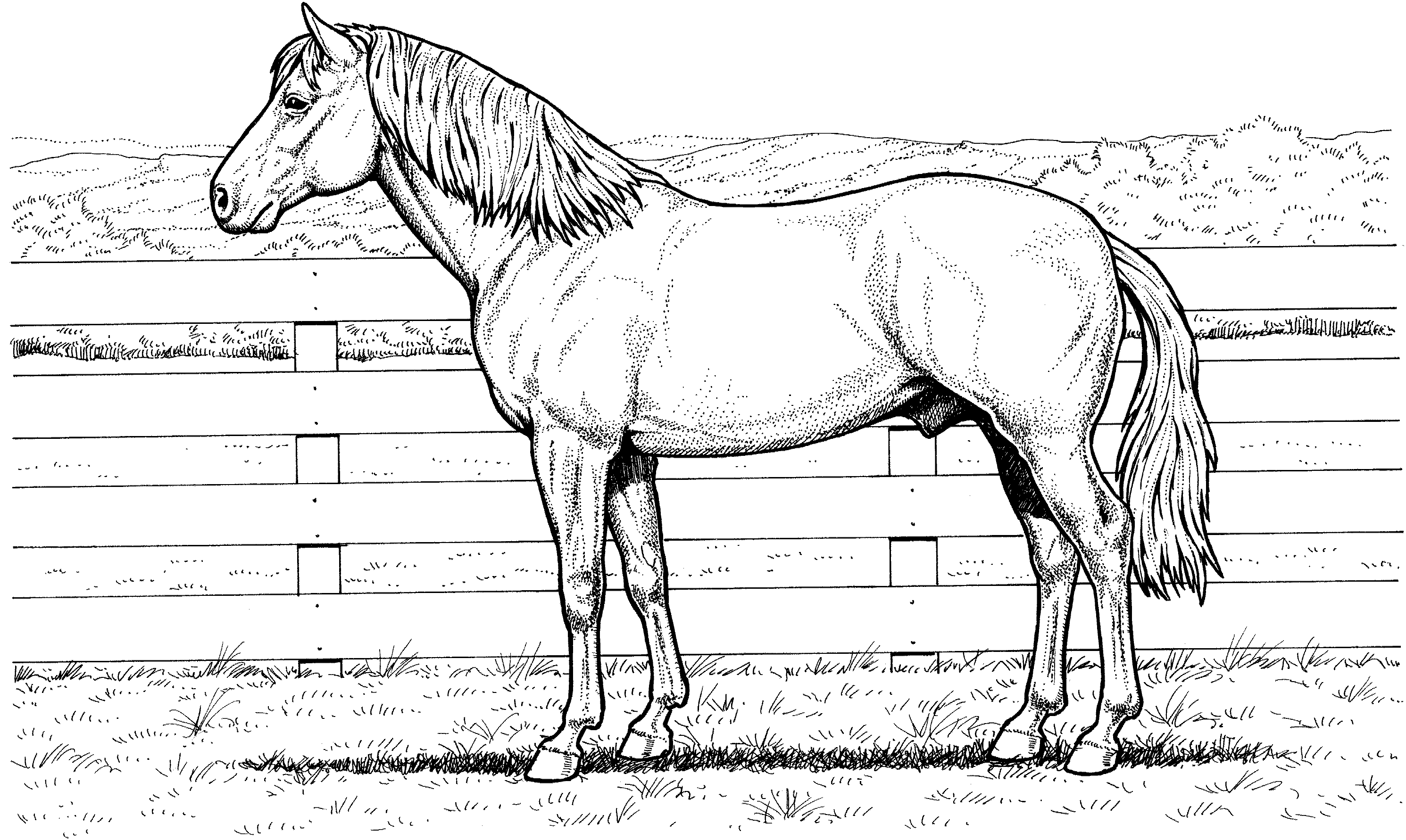 coloring-pages-for-girls-horse-free-coloring-home