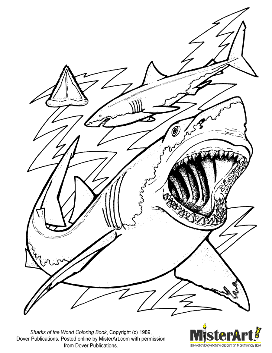 Featured image of post Free Printable Megalodon Coloring Pages Megalodon shark coloring page from sharks category