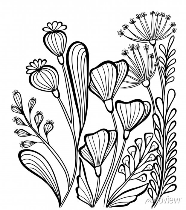 Coloring book flowers plants herbs outline stroke vector page • wall  stickers flower, design, background | myloview.com