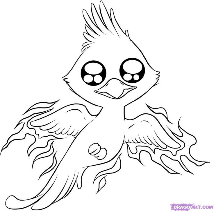 cute baby animal coloring pages dragoart - Google Search ...