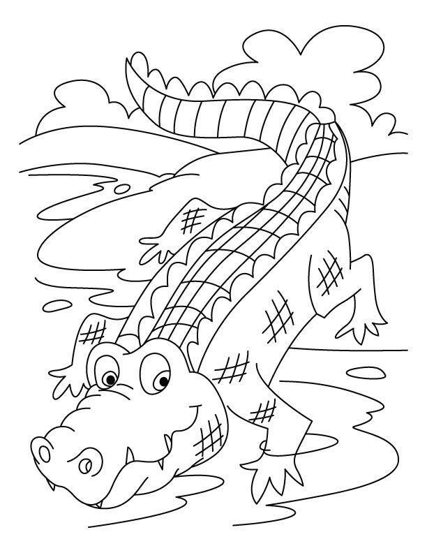 Crocodile on a run coloring pages | Download Free Crocodile on a 