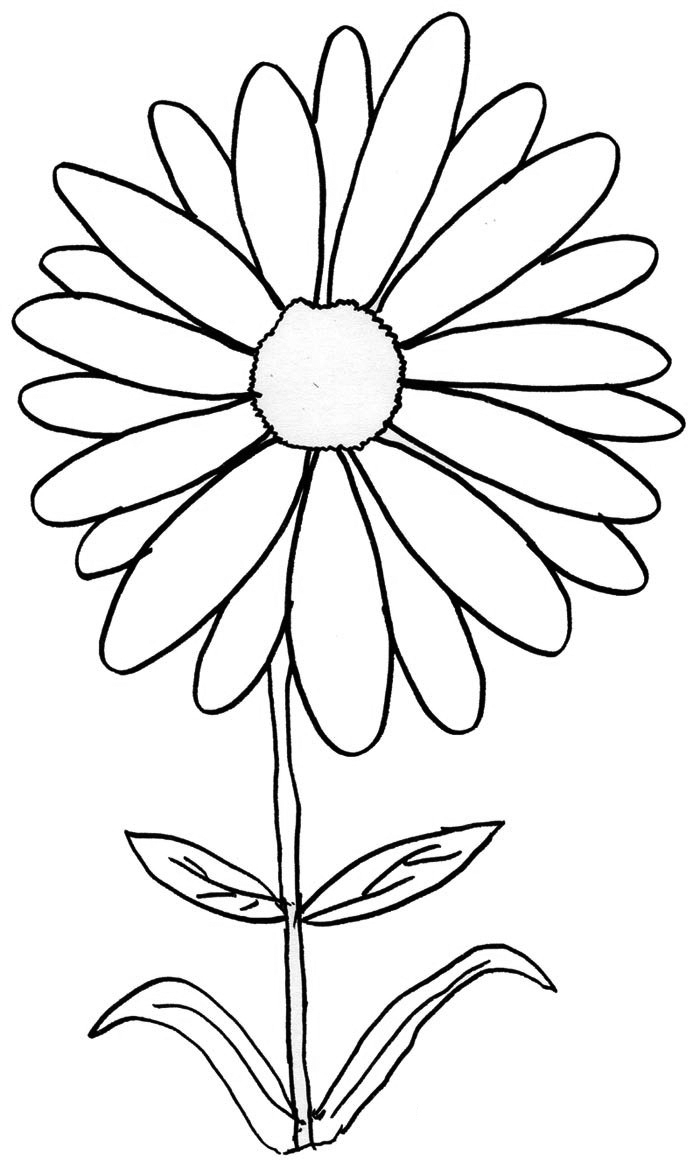 Download Daisies Coloring Pages Coloring Home