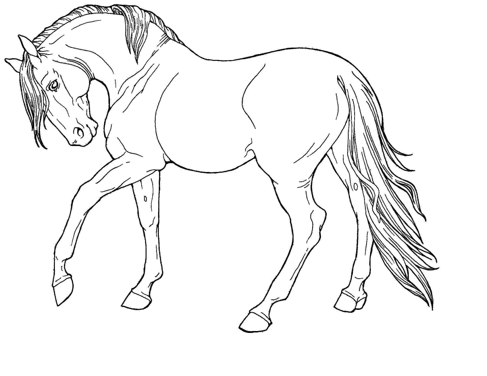Horse Running Coloring Pages Coloring Home