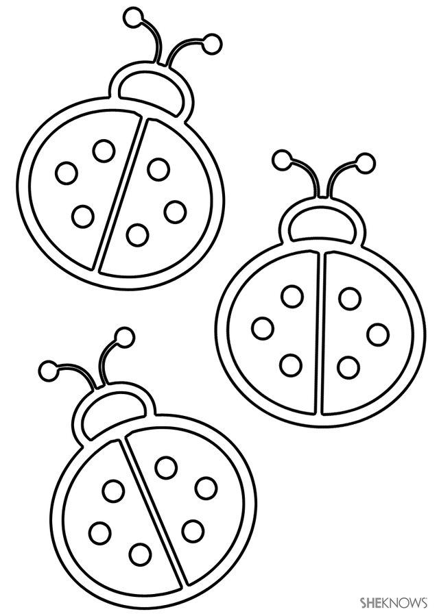 PRINTABLE LADY BUG COLORING PAGES « ONLINE COLORING inside Ladybug ...