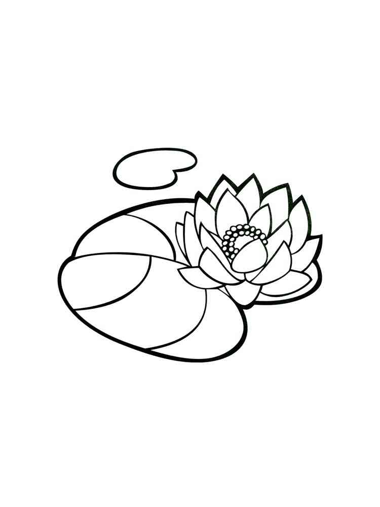 Water lily coloring pages. Download and print Water lily coloring pages