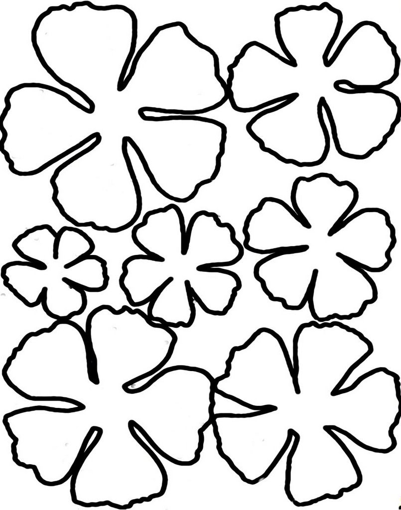 Printable Flower Template Pattern Pdf Printable World Holiday