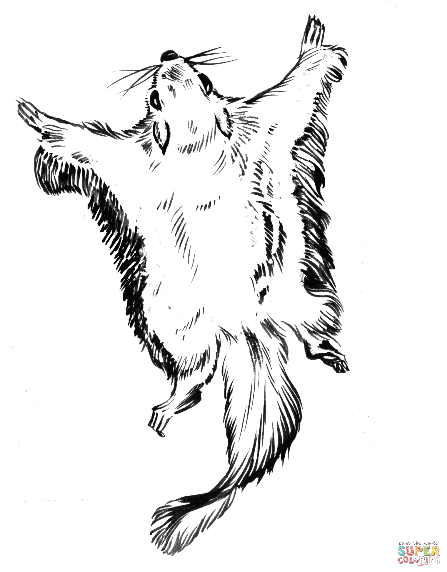 Squirrels coloring pages | Free Coloring Pages