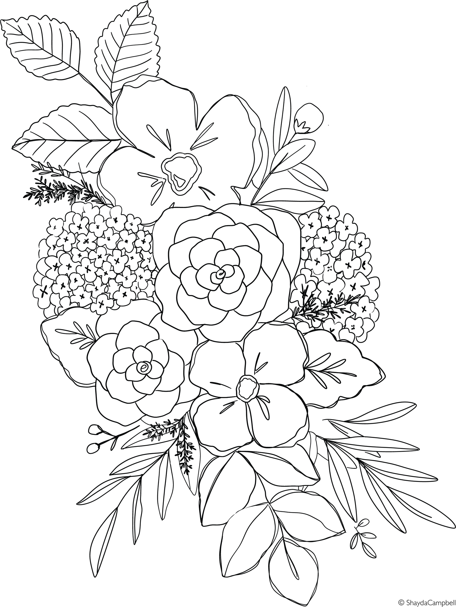 Spring Hydrangea Coloring Page | Shayda Campbell on Patreon | Floral  drawing, Flower coloring pages, Flower drawing