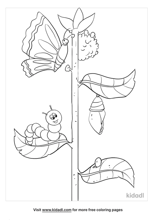 Caterpillar To Butterfly Coloring Pages | Free Bugs Coloring Pages | Kidadl