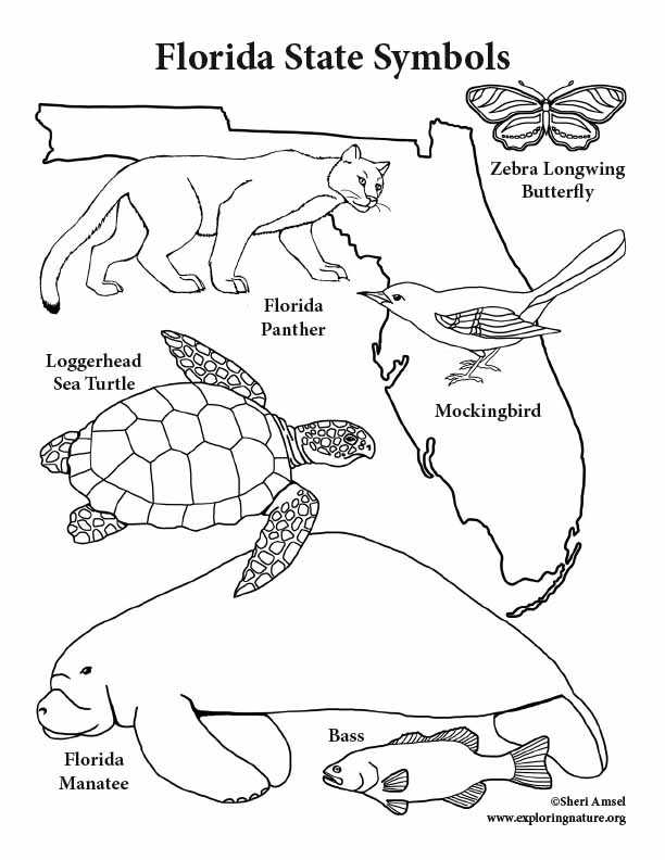 Florida Map Coloring Pages  Coloring Home