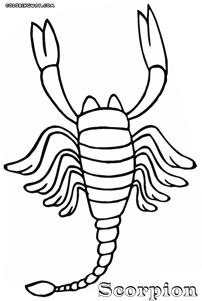 Scorpion coloring pages | Coloring pages to download and print