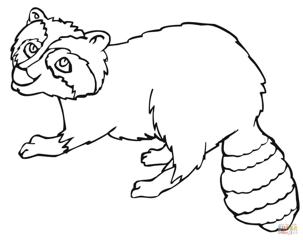 Raccoons coloring pages | Free Coloring Pages
