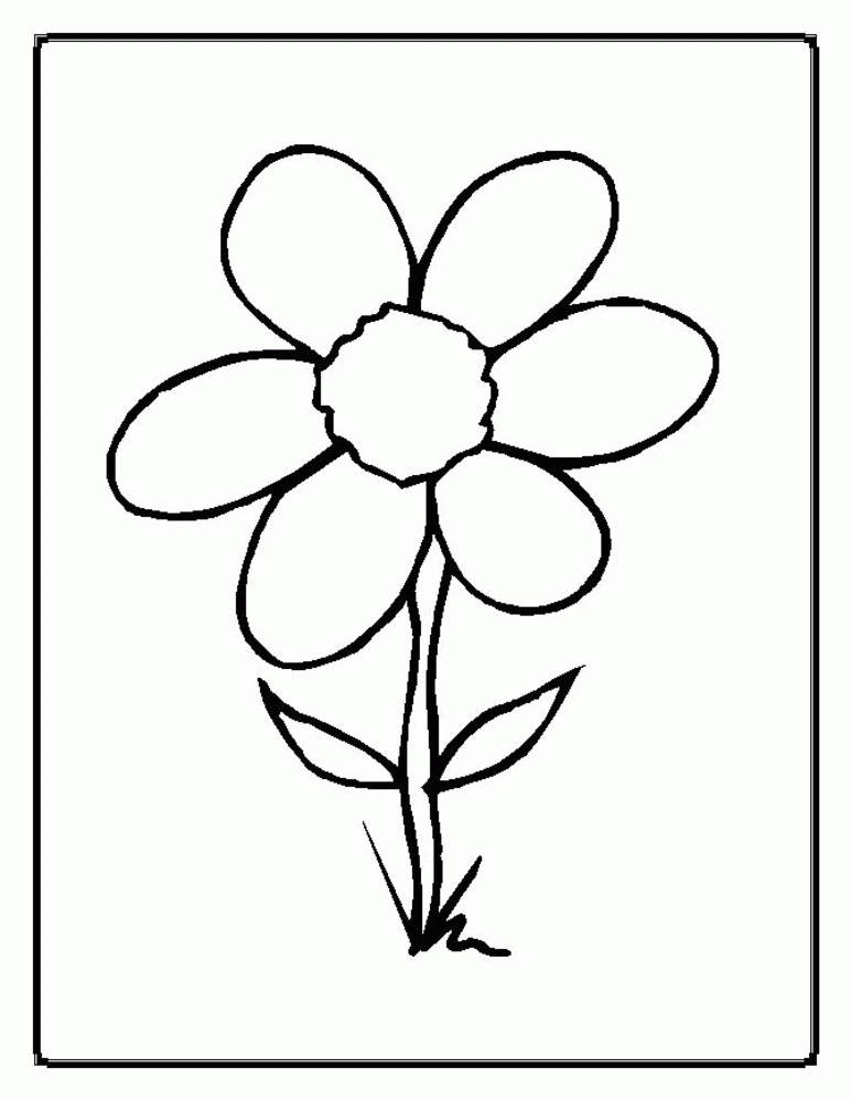Parts Of A Flower Coloring Page | Flowers Coloring Pages | Kids 