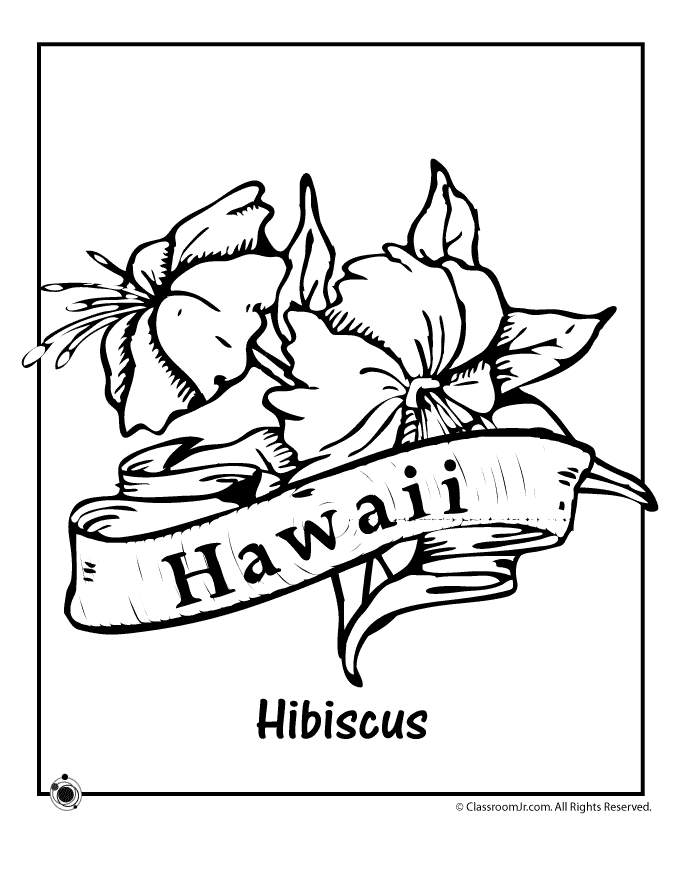 Pix For > Hawaiian Flower Coloring Page