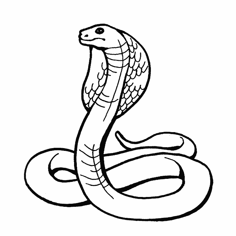 Snake Coloring Pages Free - Kids Colouring Pages