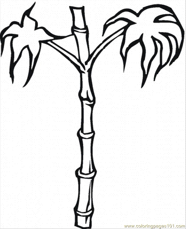 bamboo trees Colouring Pages