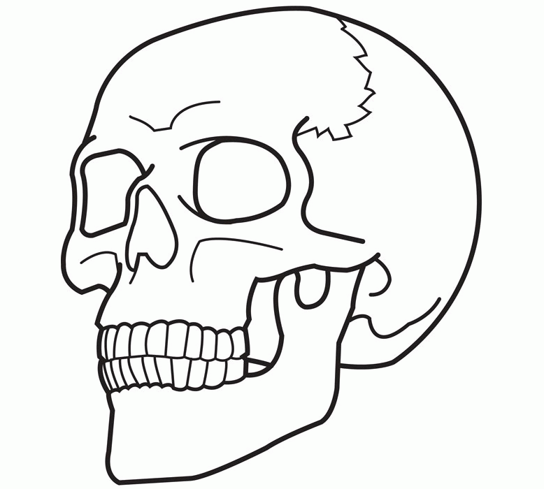 Printable Coloring Pages Of Skulls Coloring Home
