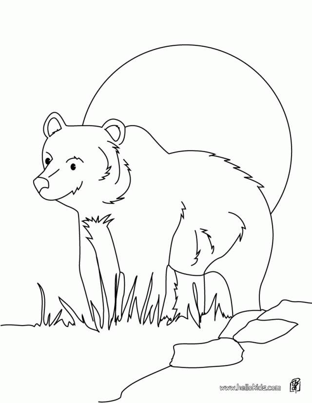 Cute Grizzly Bear Coloring Page Source Cx | Laptopezine.