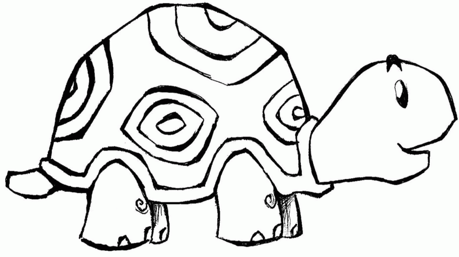 Sea Turtle Coloring Pages Animals Coloring Pages 249220 Coloring 