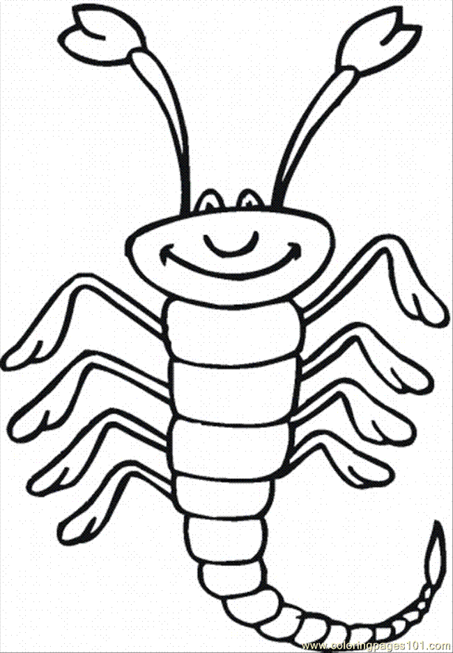 Coloring Pages Scorpion 18 (Animals > Arachnids) - free printable 