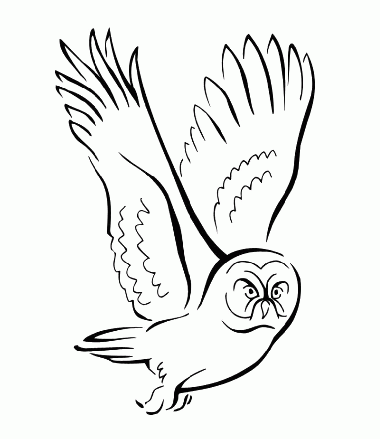 Owl Fly Midnight Coloring Pages - Birds Coloring Pages : iKids 