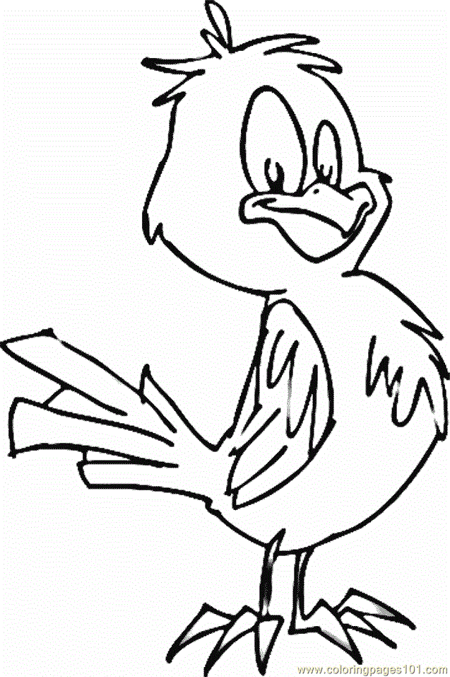 Coloring Pages Bird Coloring 30 (Animals > Birds) - free printable 